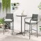 Costway 2/4 PCS Patio PE Wicker Bar Chairs Counter Height Barstools With Armrests &Cushions